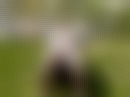models-und-fotografen-kontakt-markt - Bild (17)