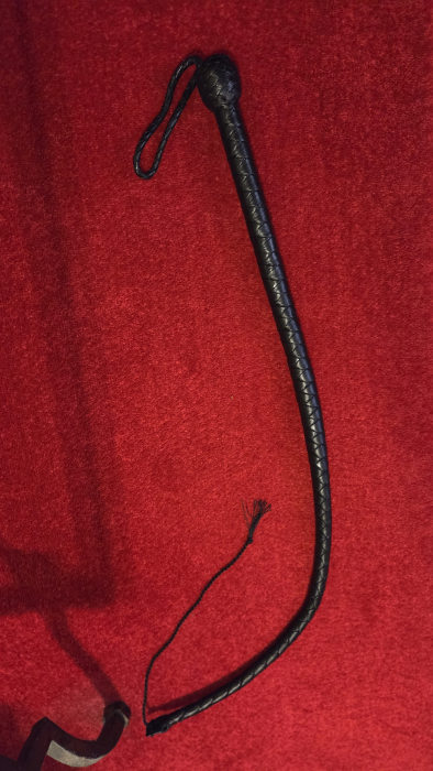 sklavin-sara - Bild (1564)