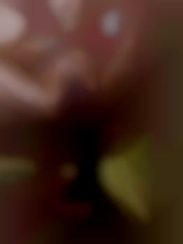 Kein Titel