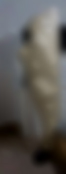 Kein Titel