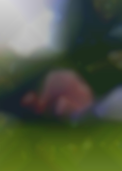 Kein Titel