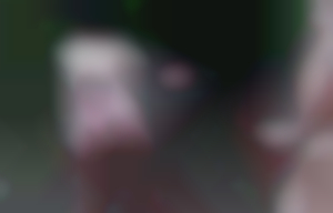 Kein Titel