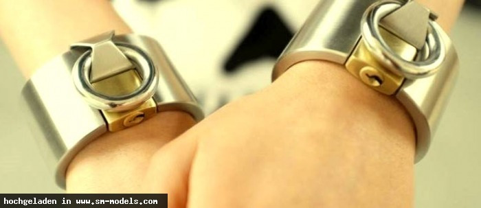 Sir-Steel in Leder
