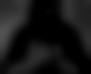 Bilder
