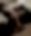 bilder