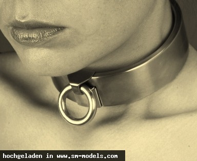 Sir-Steel in Leder
