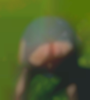 Kein Titel