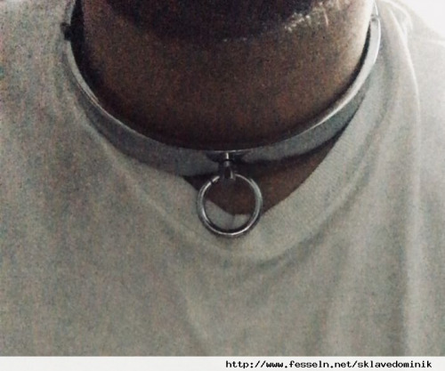 sklavedominik (PLZ: 5825)