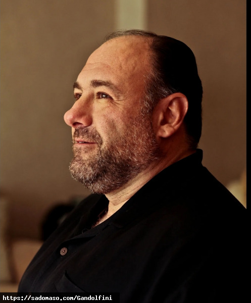 Gandolfini (PLZ: 6010)