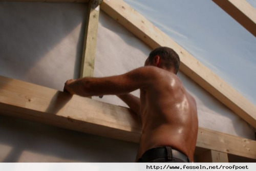 roofpoet (PLZ: 47839)