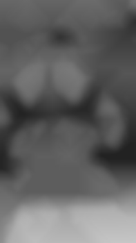 sbgpmi aus Österreich (PLZ: 5020)