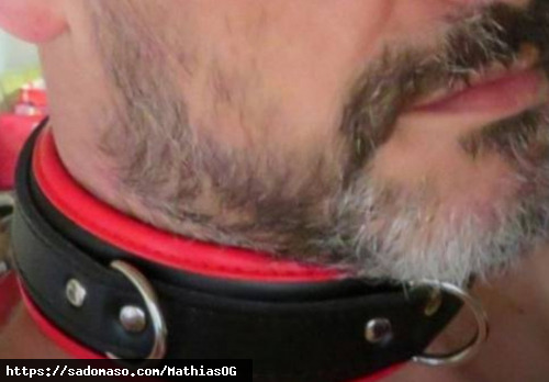 MathiasOG (PLZ: 77654)