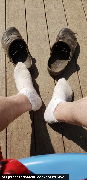 sockslave (PLZ: 43216)