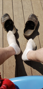 sockslave aus Sonstiges (PLZ: 43216)