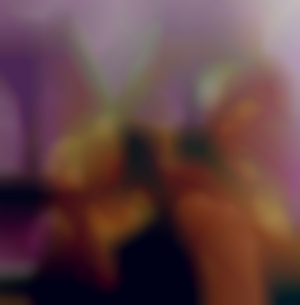 Herrin_Lucie001