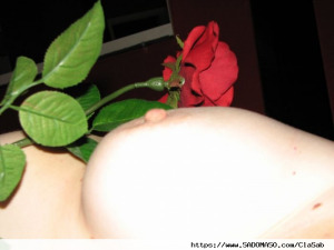 ClaSab aus Deutschland (PLZ: 6830)