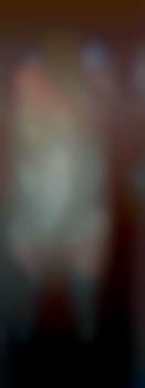 mieder