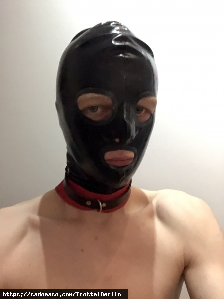 TrottelBerlin (PLZ: 13055)