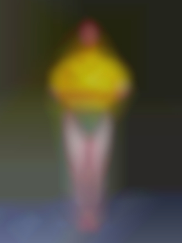 patrickpvc aus Schweiz (PLZ: 3076)