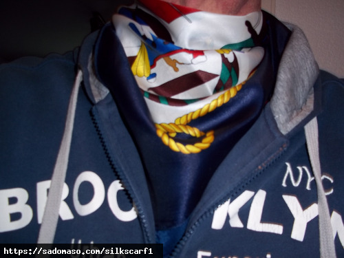 silkscarf1 (PLZ: 87435)