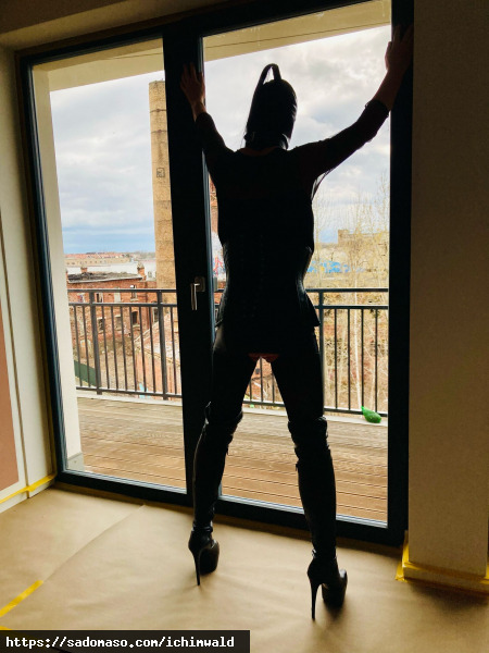 ichimwald (PLZ: 1482)