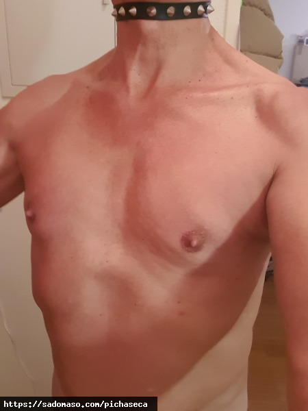 pichaseca (PLZ: 4054)