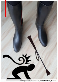 Master_Mika aus Deutschland (PLZ: 52070)