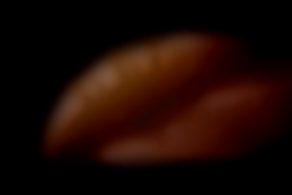 Sub/Sklavin (w) für freizügige Aufnahmen