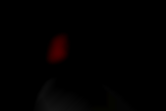 Ich suche - Model (w) für Fotoshooting gesucht